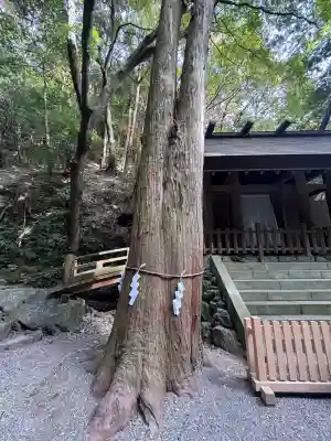 多度大社(三重県)