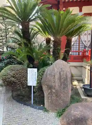 藤次寺(大阪府)