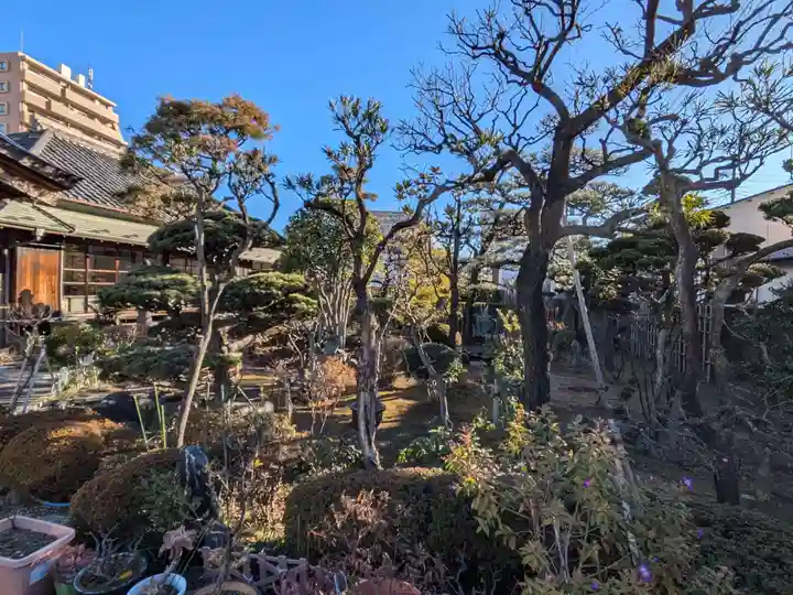 祥雲寺(東京都)