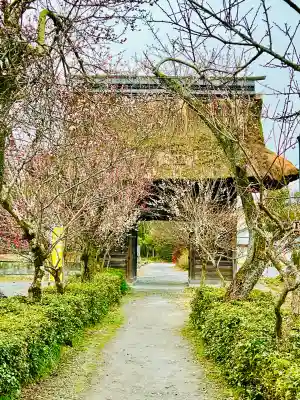 永福寺　童子堂の{uncategorized: "未分類", other: "その他", undefined: "問題あり", building: "その他建物", grave: "お墓", sacred_gate: "鳥居", guardian: "狛犬", statue: "像", buddha: "仏像", history: "歴史", nature: "自然", garden: "庭園", animal: "動物", pagoda: "塔", temizu: "手水舎", mountain_gate: "山門・神門", sanctuary: "本殿・本堂", subordinate: "末社・摂社", art: "芸術", scenery: "景色", jizo: "地蔵", ema: "絵馬", goshuin: "御朱印", omikuji: "おみくじ", items: "授与品その他", amulet: "お守り", goshuincho: "御朱印帳", eats: "食事", festival: "お祭り", votive_dance: "神楽", shichigosan: "七五三参", wedding: "結婚式", experience: "体験その他", initially: "初詣", around: "周辺", anti_infection: "感染症対策"}