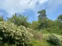 国宝 大法寺の御朱印