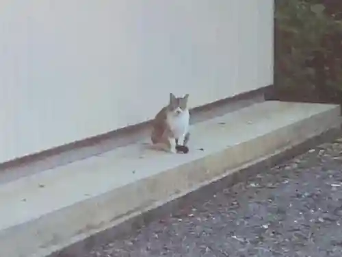 玉野御嶽神社の動物