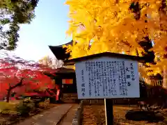 鑁阿寺の自然