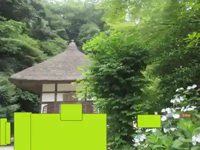 明月院(神奈川県)
