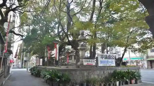 若一神社の自然