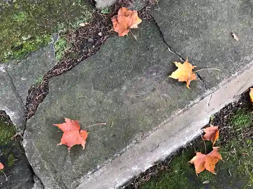 京極八幡神社のその他建物