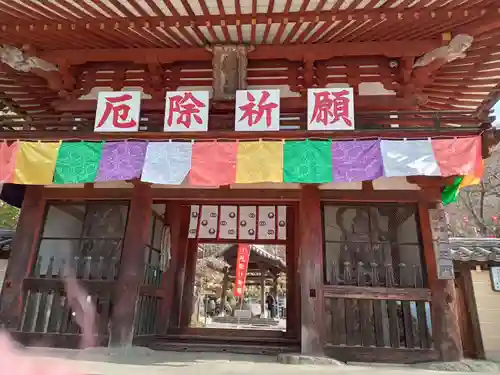 岡寺（龍蓋寺）(奈良県)