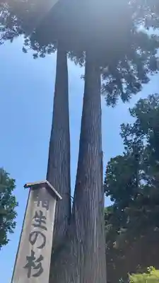 白鷺神社のその他建物