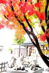 西野神社の狛犬