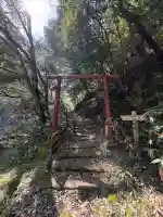 断魚稲荷の{uncategorized: "未分類", other: "その他", undefined: "問題あり", building: "その他建物", grave: "お墓", sacred_gate: "鳥居", guardian: "狛犬", statue: "像", buddha: "仏像", history: "歴史", nature: "自然", garden: "庭園", animal: "動物", pagoda: "塔", temizu: "手水舎", mountain_gate: "山門・神門", sanctuary: "本殿・本堂", subordinate: "末社・摂社", art: "芸術", scenery: "景色", jizo: "地蔵", ema: "絵馬", goshuin: "御朱印", omikuji: "おみくじ", items: "授与品その他", amulet: "お守り", goshuincho: "御朱印帳", eats: "食事", festival: "お祭り", votive_dance: "神楽", shichigosan: "七五三参", wedding: "結婚式", experience: "体験その他", initially: "初詣", around: "周辺", anti_infection: "感染症対策"}