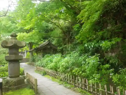 安國論寺（安国論寺）の庭園