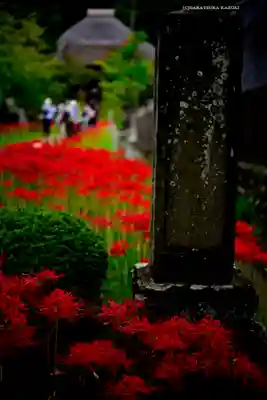 横浜　西方寺(神奈川県)
