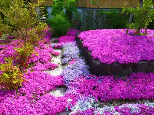 寿量山　速成寺(奈良県)