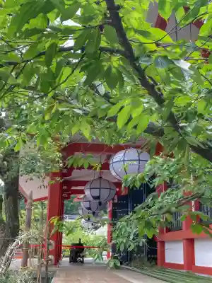 鞍馬寺(京都府)