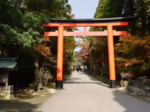 霧島神宮(鹿児島県)