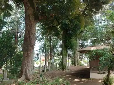 鶴峯八幡宮のその他建物