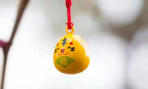 諫早神社（九州総守護  四面宮）(長崎県)