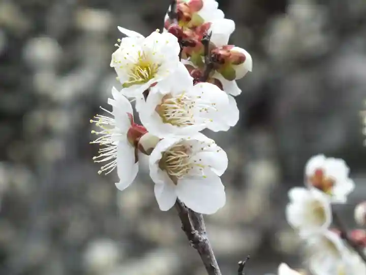 石山寺(滋賀県)