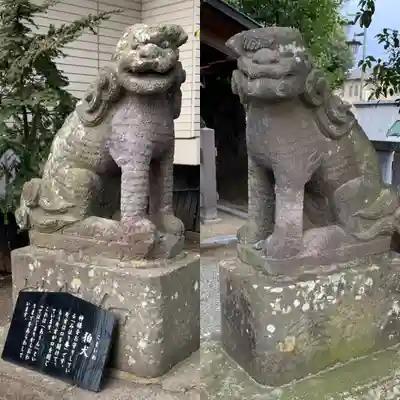 伊勢原大神宮の狛犬