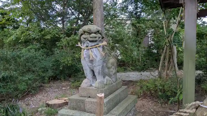 中川熊野神社の狛犬