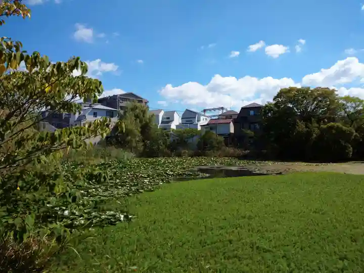 青龍神社(東京都)