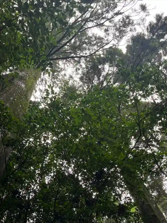 霧島神宮(鹿児島県)