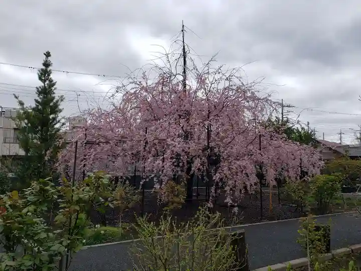 福蔵院(東京都)