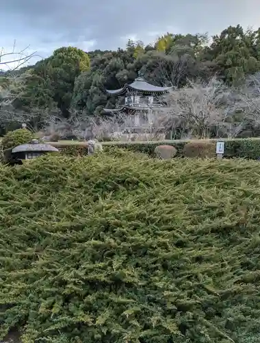 勧修寺(京都府)