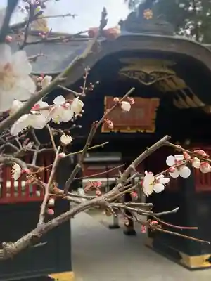 金蛇水神社(宮城県)