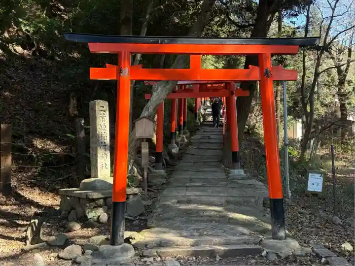 賀茂別雷神社(上賀茂神社)(京都府)