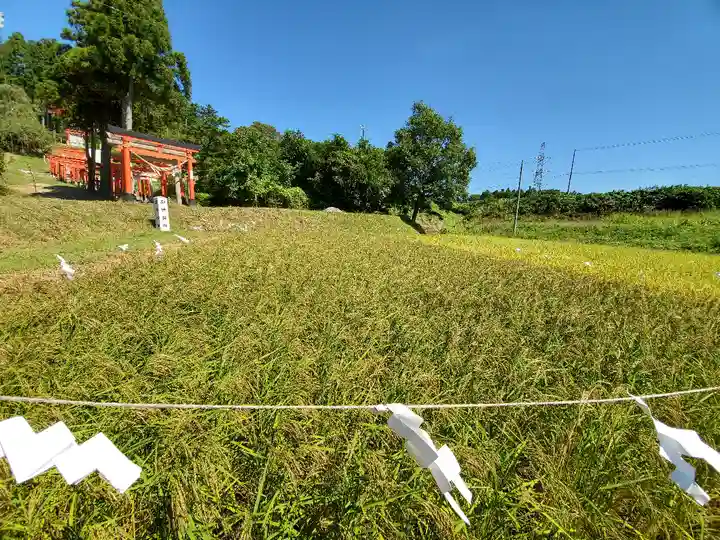 高屋敷稲荷神社の周辺