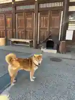 感通寺(東京都)