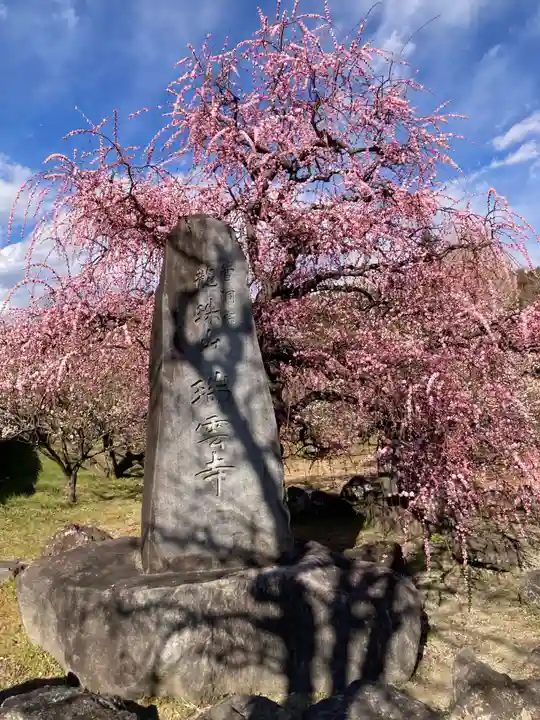 瑞雲寺(神奈川県)