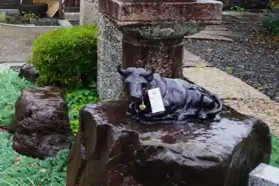 大松禅寺(京都府)