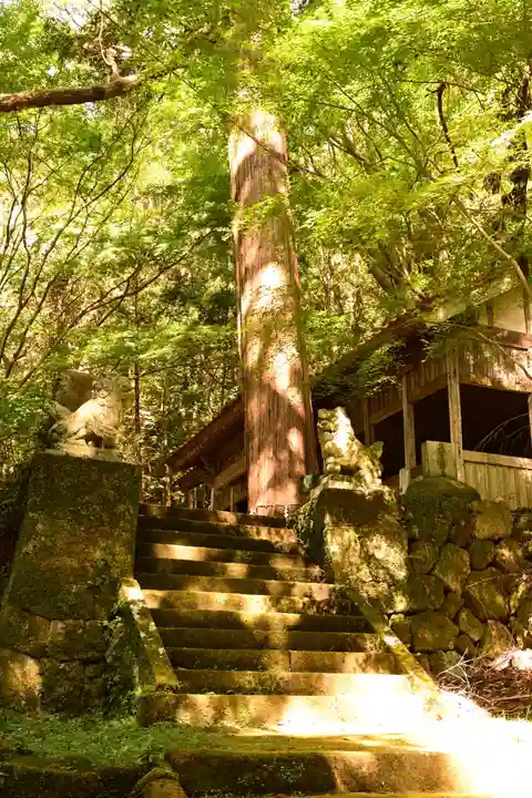 岩戸寺(大分県)