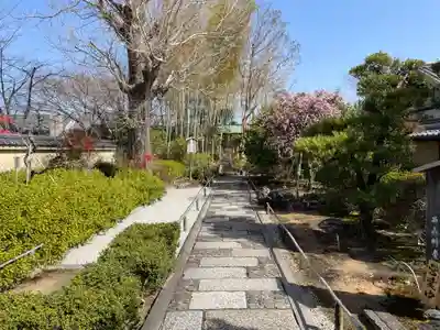 妙智院(京都府)