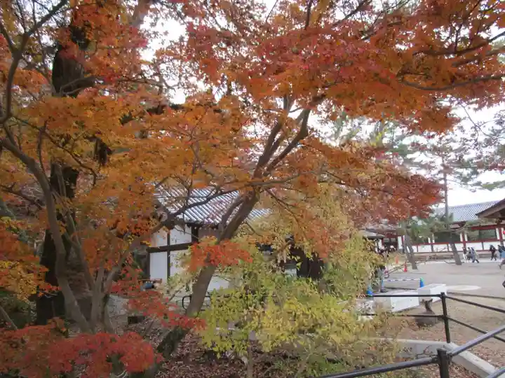 東大寺(奈良県)