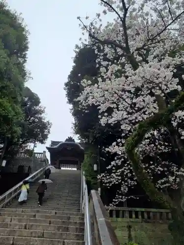 宇都宮二荒山神社の建物その他