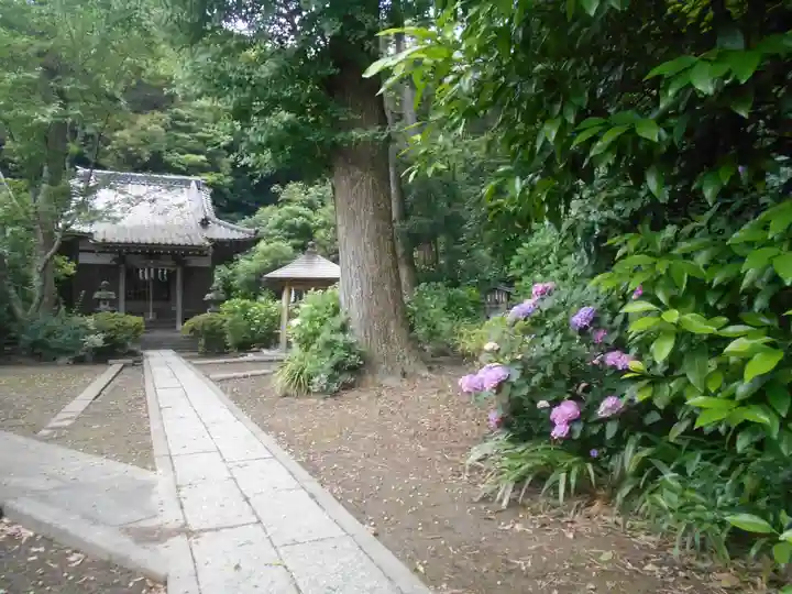 蛇苦止明神(蛇苦止堂)の景色