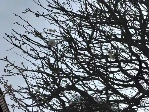 普門院蓮花寺(神奈川県)