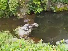 根津神社の庭園