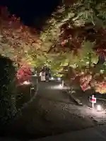 東福禅寺(東福寺)(京都府)