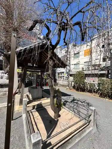 柏神社(千葉県)