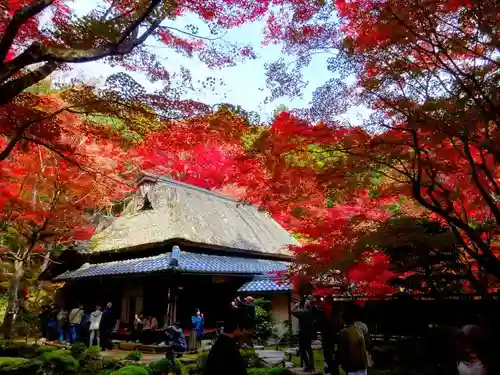 教林坊(滋賀県)