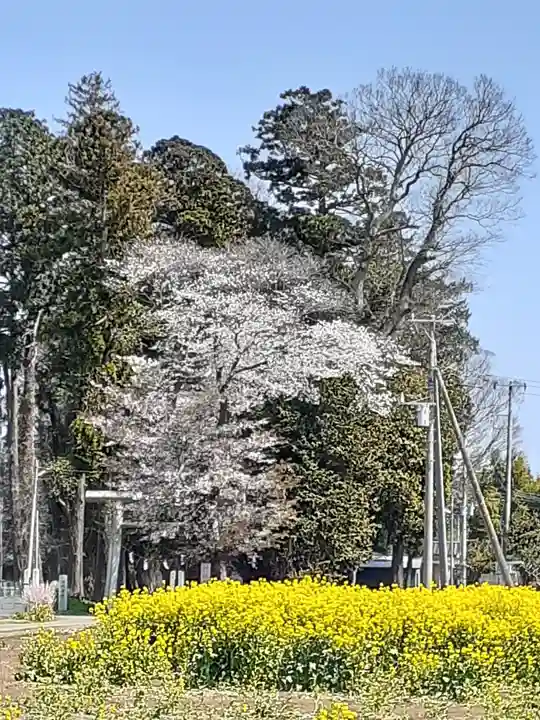 酒門神社の自然