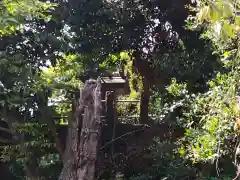 宇佐神社の建物その他