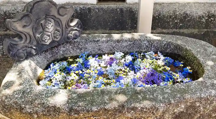 三津厳島神社の手水舎