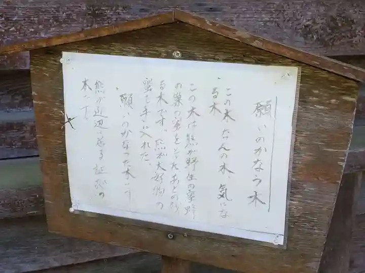 舟城神社の歴史