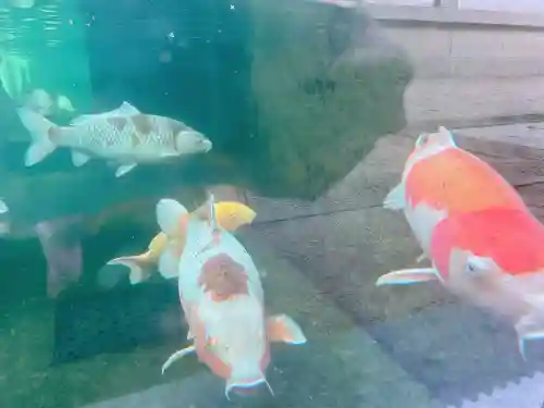 大聖観音寺（あびこ観音）(大阪府)