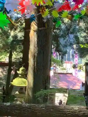 古殿八幡神社(福島県)